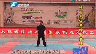 張保忠 Zhang Baozhong - 陳式太極拳綜合套路 Chen-Style Taijiquan Combination Routine