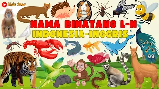 BELAJAR TEBAK NAMA BINATANG HEWAN L-N DALAM BAHASA INDONESIA BAHASA INGGRIS LEARNING ANIMALS NAMES