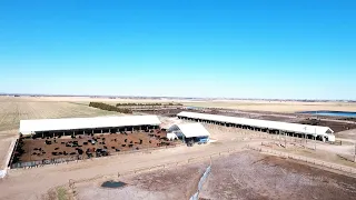 Cattle Confinement Facilities