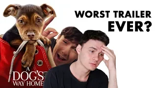 A Dog's Way Home - Trailer Trash