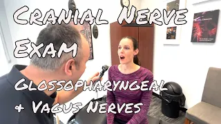 Cranial Nerve Examination - Glossopharyngeal and Vagus Nerve