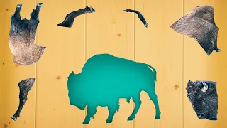 CUTE ANIMALS American Bison Puzzle 귀여운 동물 조립들소 퍼즐