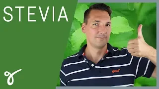 Stevia: Wie gesund ist die Zucker-Alternative? | Gerne Gesund