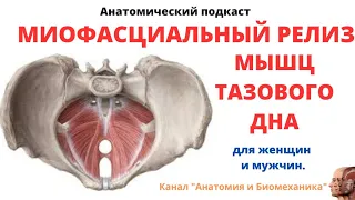 Миофасциальный релиз мышц тазового дна.