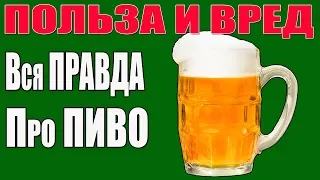 УЗНАЙ Всю ПРАВДУ про ПИВО | польза и вред пива | ЭТО НАДО ЗНАТЬ!