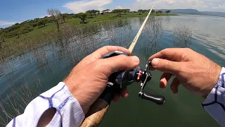 This AREA is FULL OF BIG BASS !! Bass Fishing Albert Falls Dam, South Africa.