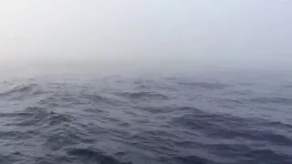 Fog on the water