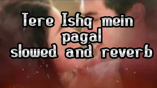 Tere Ishq Mein Pagal Ho Gaya  Alka Yagnik, Udit Narayan