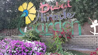 miracle garden Dubai|tourist spot in Dubai |part 1|cute visions