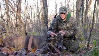 Pa Bow hunt 11, Buck harvested on camera
