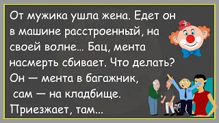 🔥От Мужика Ушла Жена...Анекдот До Слёз Про Мужика,Мента И Сторожа!