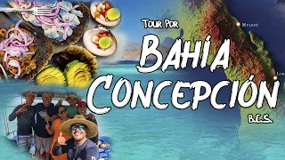 Bahía Concepción ¿Vale la pena el viaje? 2021 | Con "El Burro Baja Tours" | Mulegé, B.C.S.