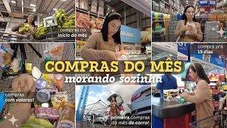 COMPRAS DO MÊS MORANDO SOZINHA | Vlog no mercado + guardando as compras