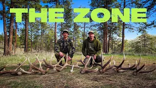 THE BONE ZONE! ELK SHED HUNTING - FINDING ELK SHEDS 2024