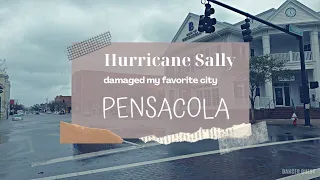 Hurricane Sally Storm Driving through Damage in Pensacola Florida