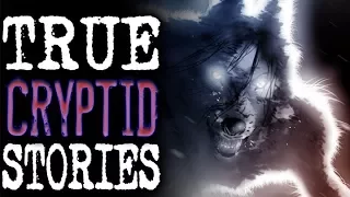 11 True Creepy Cryptid Encounter Horror Stories