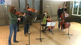 Streichinstrumente: Geige, Bratsche, Cello und Kontrabass