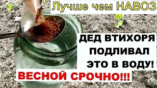 1 Ложку на Банку Воды и Земля Как Новая. Лучше чем навоз 100% Пролейте этим землю весной урожай!