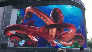 Octopus! Cool 3D projection, cruise ship welcome center, Nassau Bahamas