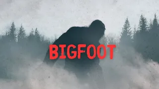 La historia detrás del pueblo abandonado de Portlock y su enigmático encuentro con Bigfoot