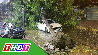 Hà Nội: Mưa đá kèm dông sét, nhiều cây xanh ngã đổ | THDT