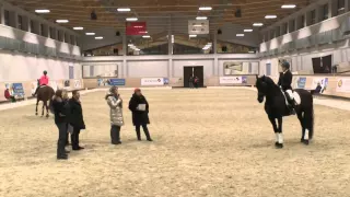 Kamila Baygulova + Jelco Z.12-12-2015 Maxima Stables Прикидка / разбор