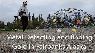 Metal detecting and finding gold in Fairbanks Alaska