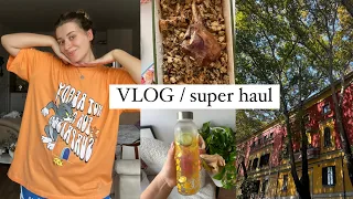 Do iki ne plazh, super mega haul per shtepine, supozime, receta gatimi