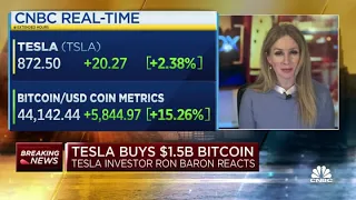 Tesla bitcoin investment ‘not surprising,’ wants to explore rationale: Major shareholder Ron Baron
