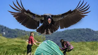 Biggest Birds Ever Captured On Camera!