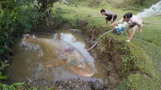 Most Amazing Wild Fishing, Unique Exciting Catch Big Fish With A Large Pump Sucks Water Out Of Lake