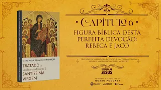 CAPÍTULO 06 | Tratado da Verdadeira Devoção à Santíssima Virgem | AUDIOBOOK