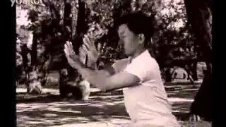 More Historic Glimpses of Chen Zhaokui 陈照奎 陈太极拳 Draping fist & Cloud hands