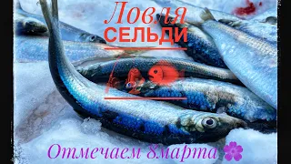 о.Сахалин, рыбалка на оз.Тунайча. Сельдь🐟🎣