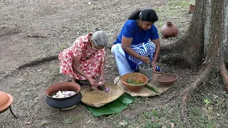 Village Lunch Recipe ❤ Rice, Melon Curry and Fried Trevally Fish | Cooking and eating with Grandma