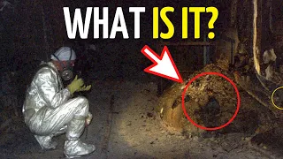 Who LIVES under the CHERNOBYL sarcophagus?