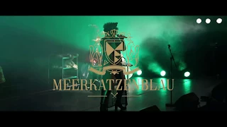 Meerkatzenblau Official Trailer HD - Die royalen Katzen