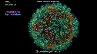 7M12 - Icosahedral symmetry