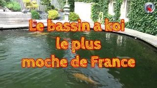 Le bassin a koi le plus moche de France