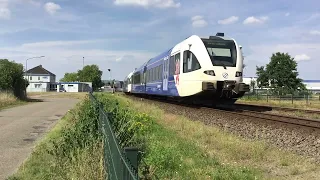 No Service ! Arriva Trains at Blerick the Netherlands, August 16 2022