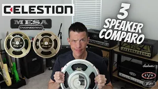 Vintage 30 8 ohm OR 16 ohm OR Celestion?? which speaker is for you?