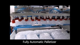 Ice Systems and Supplies Palletizing