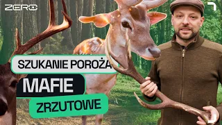 GATUNEK ZERO #10: JAK I KIEDY ZNALEŹĆ POROŻE JELENI, NIE ROBIĄC IM KRZYWDY I NIE ŁAMIĄC PRAWA