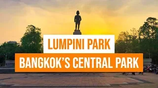 🌴Lumpini Park: Bangkok's Central Park 🦎🙏