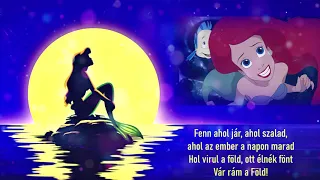 [The Little Mermaid] A kis hableány - Vár rám a föld (cover)