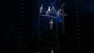 Cirque du Soleil. Alegria