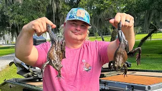 Monster frogs from swamp to table!!!