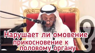 Нарушает ли омовение касание полового органа?