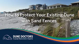 How to Protect Your Existing Dune with Sand Fences | Dune Doctors