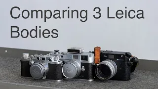 Leica Shootout. IIIc vs. M2 vs. M6